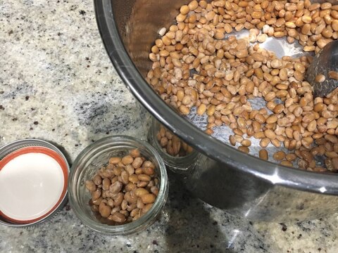 【腸活】インスタントポットで納豆